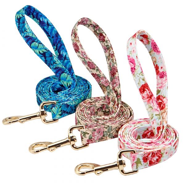 Ensemble laisse et collier 3 couleurs