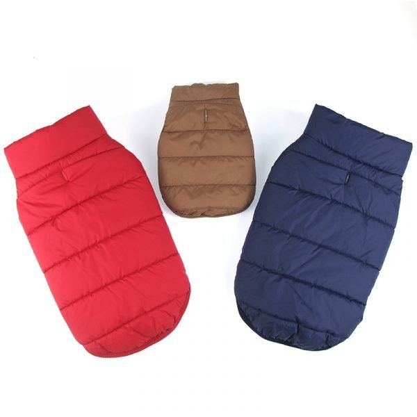 Manteau chaud hiver Cocker