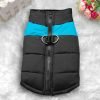 Manteau Cocker adulte et chiot