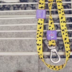 Laisse colorée Pac-Man pastèque